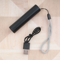 Lume Charging UV LED Flashlight