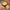 variant_yellow variant_buckle_black