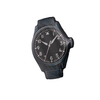 variant_larger_pilot