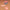 TGN Sticker Pack